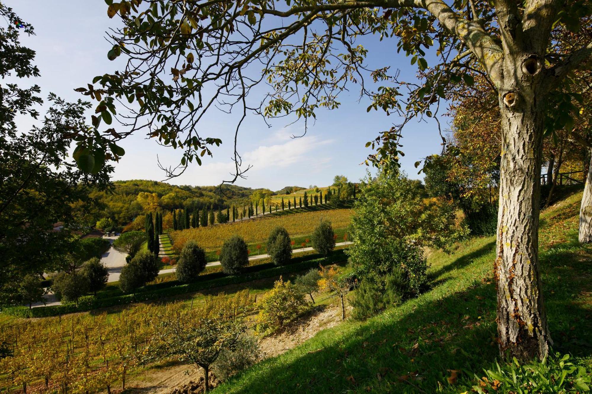 Relais Russiz Superiore Capriva del Friuli Dış mekan fotoğraf